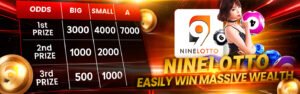 TPOWER Official Online Casino Lottery - Nine Lotto
